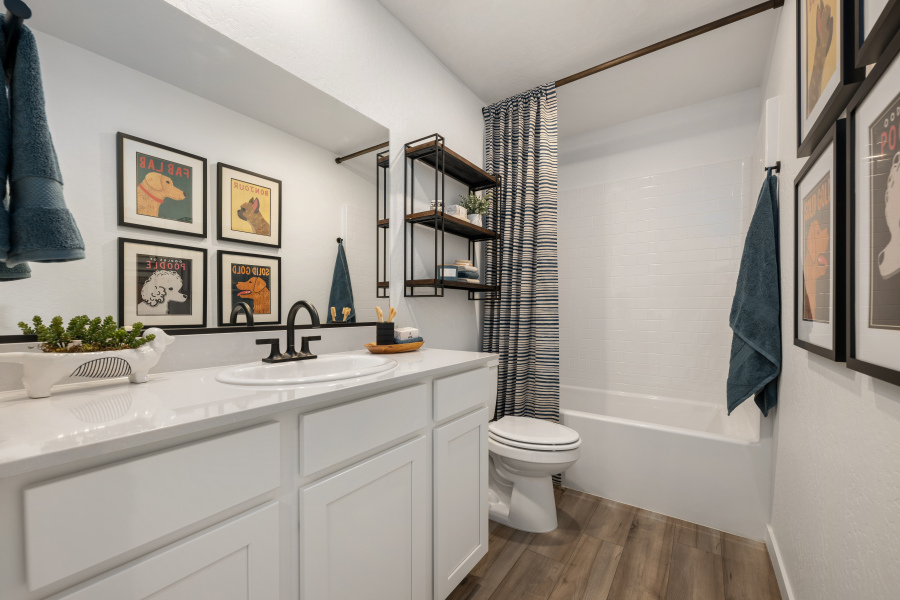 A bathroom with a sink toilet and a shelf with pictures on it.