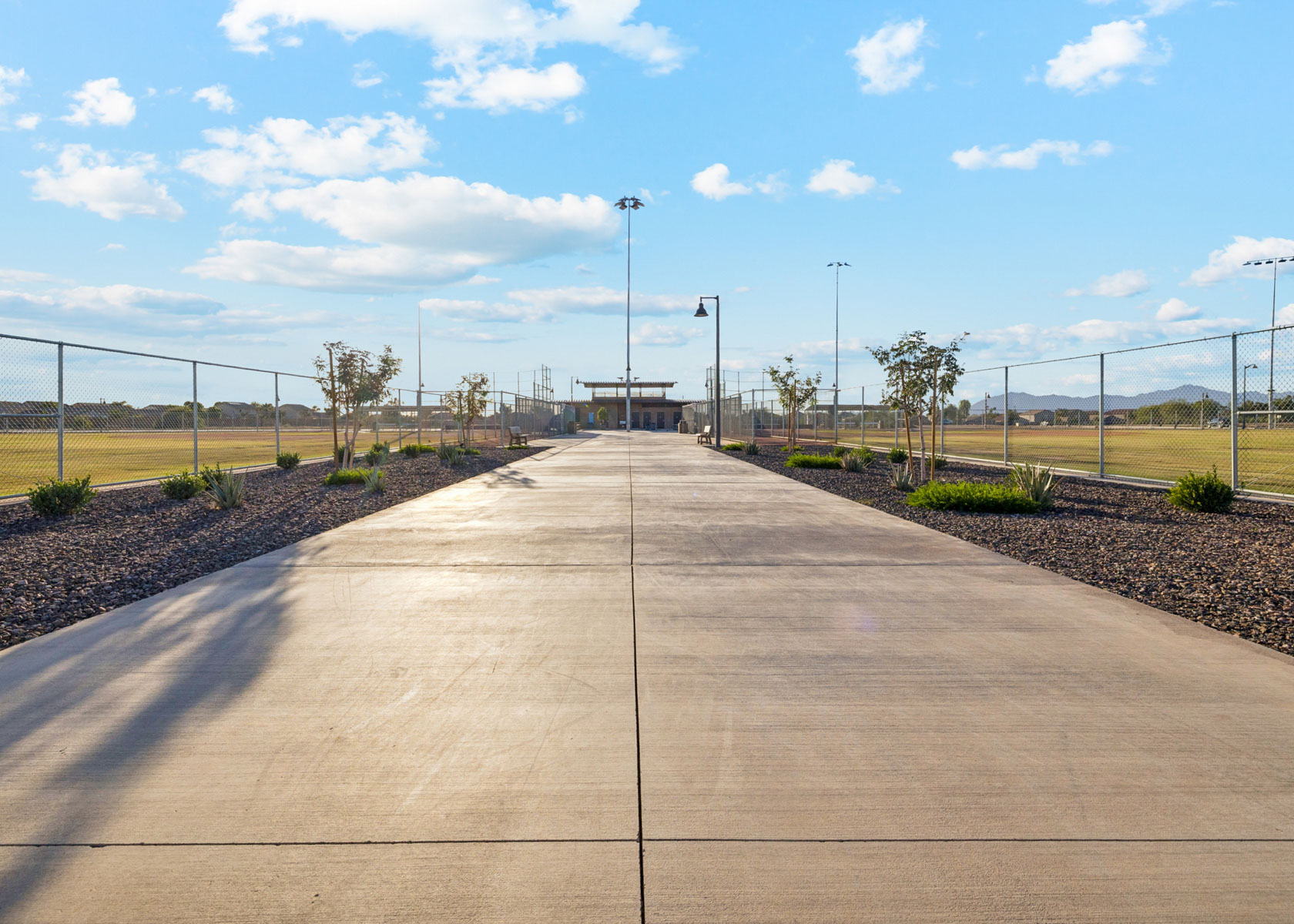 A wooden walkway with a fence and trees on the side.