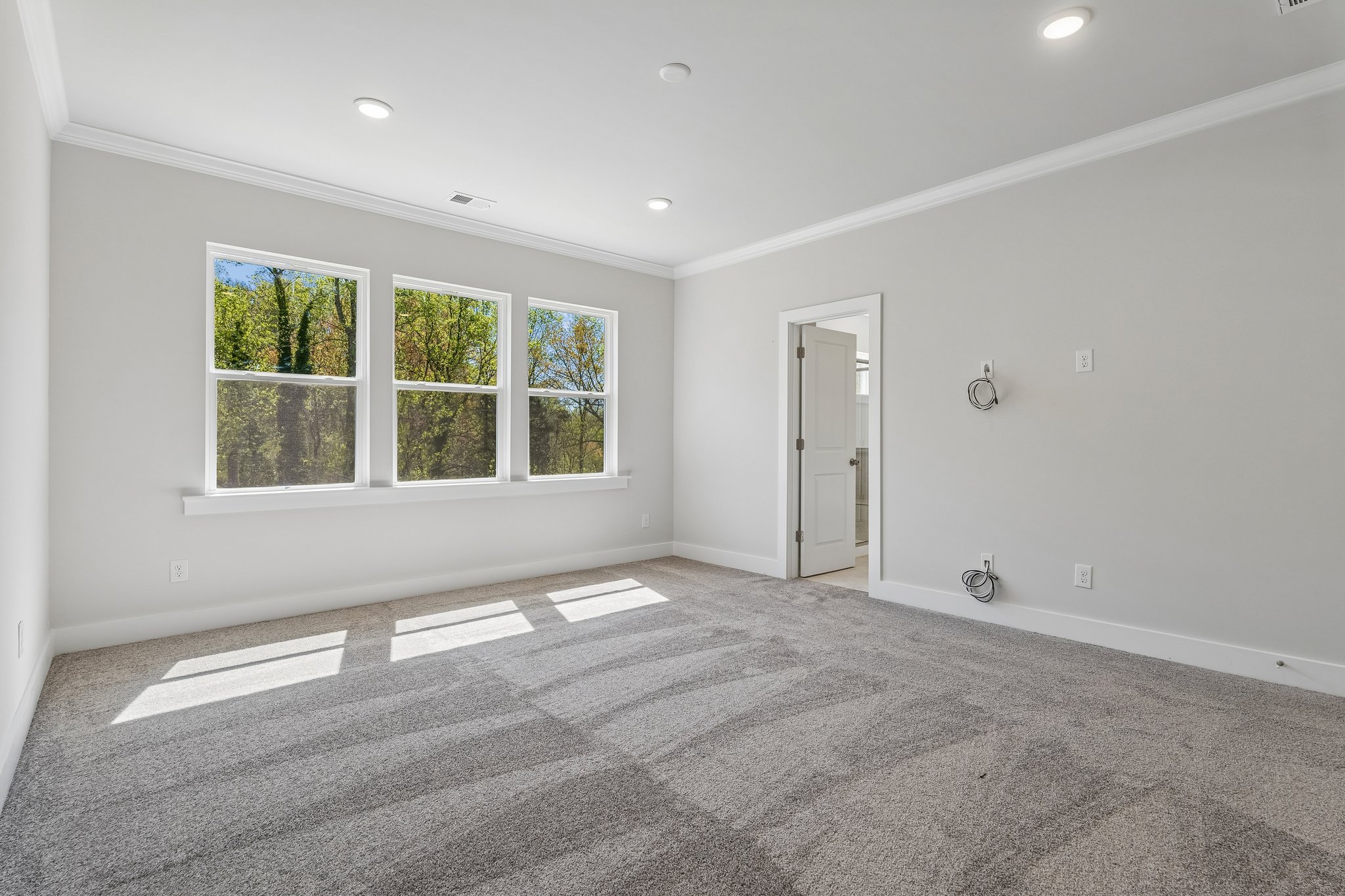 A room with a carpet and windows.