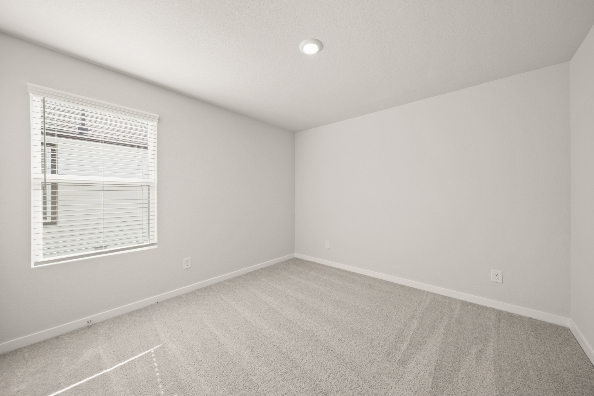 A room with a carpet and a window.