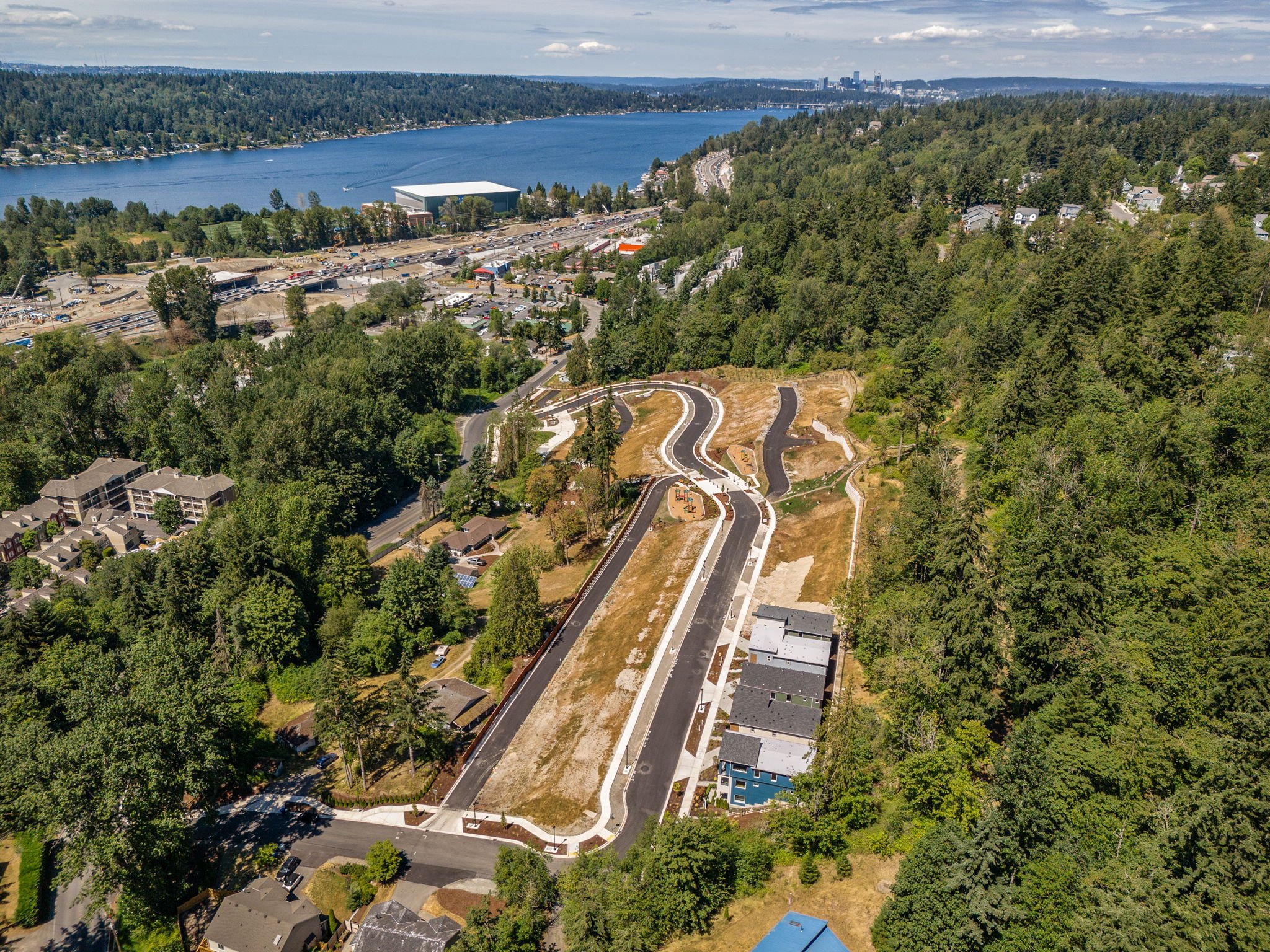 A road with trees and a body of water in the background.