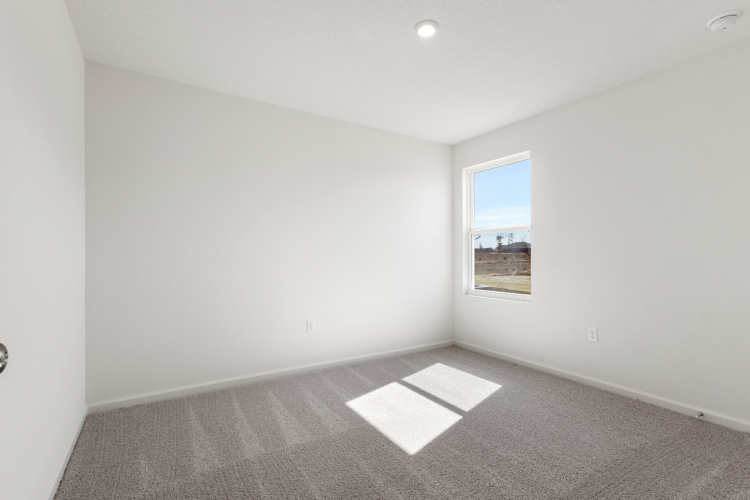 A room with a window and a rug.