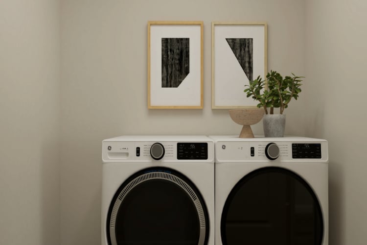 A white washing machine and a plant.