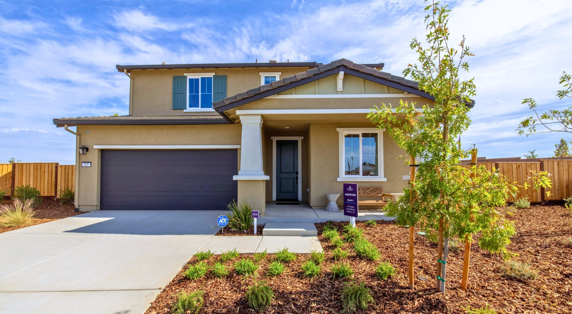 A house with a garage and a tree in the front.